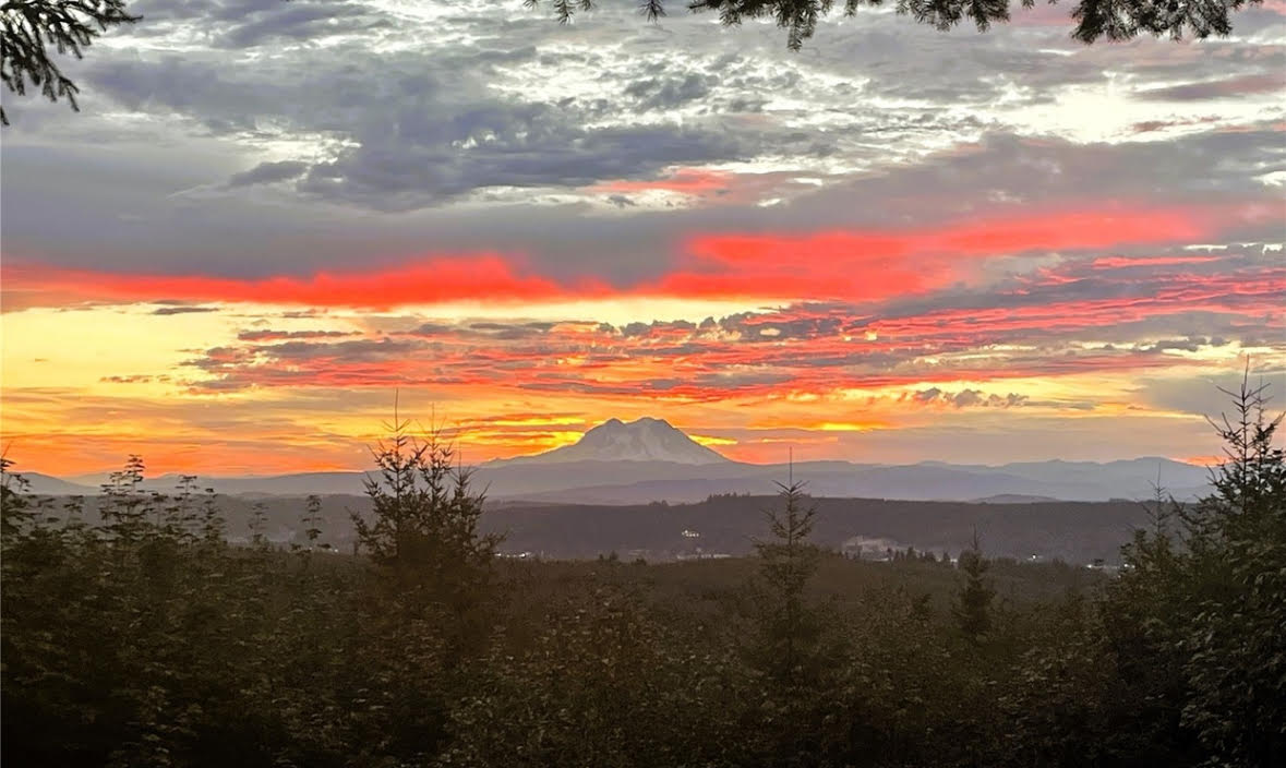 Consider moving to Roy, WA